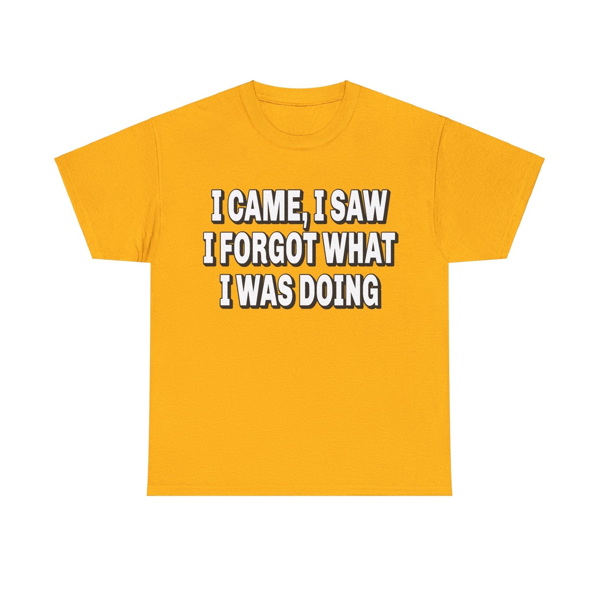 I Came I Saw I Forgot Graphic Tee Graphic Tees Australia Graphic T-Shirt Australia -  Cool Graphic T-Shirts Online -  I Came I Saw I Forgot T-Shirt | Funny T-Shirts Australia