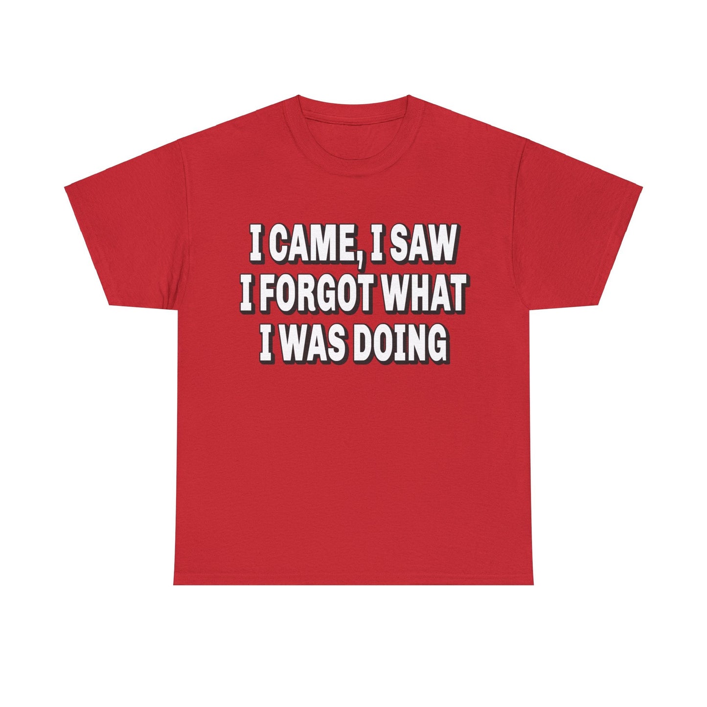 I Came I Saw I Forgot Graphic Tee Graphic Tees Australia Graphic T-Shirt Australia -  Cool Graphic T-Shirts Online -  I Came I Saw I Forgot T-Shirt | Funny T-Shirts Australia