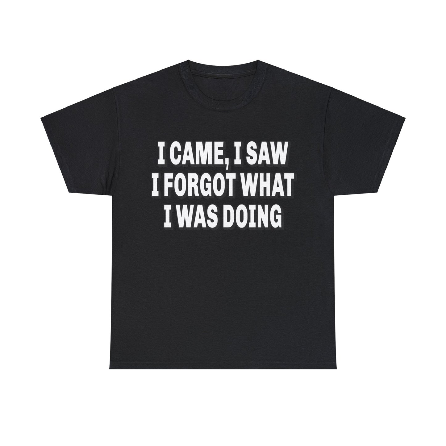 I Came I Saw I Forgot Graphic Tee Graphic Tees Australia Graphic T-Shirt Australia -  Cool Graphic T-Shirts Online -  I Came I Saw I Forgot T-Shirt | Funny T-Shirts Australia